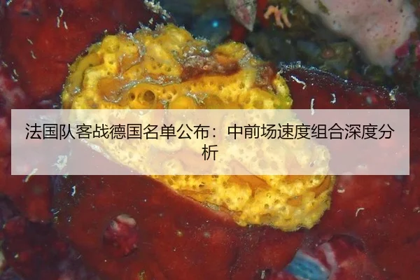法国队客战德国名单公布：中前场速度组合深度分析