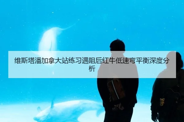维斯塔潘加拿大站练习遇阻后红牛低速弯平衡深度分析